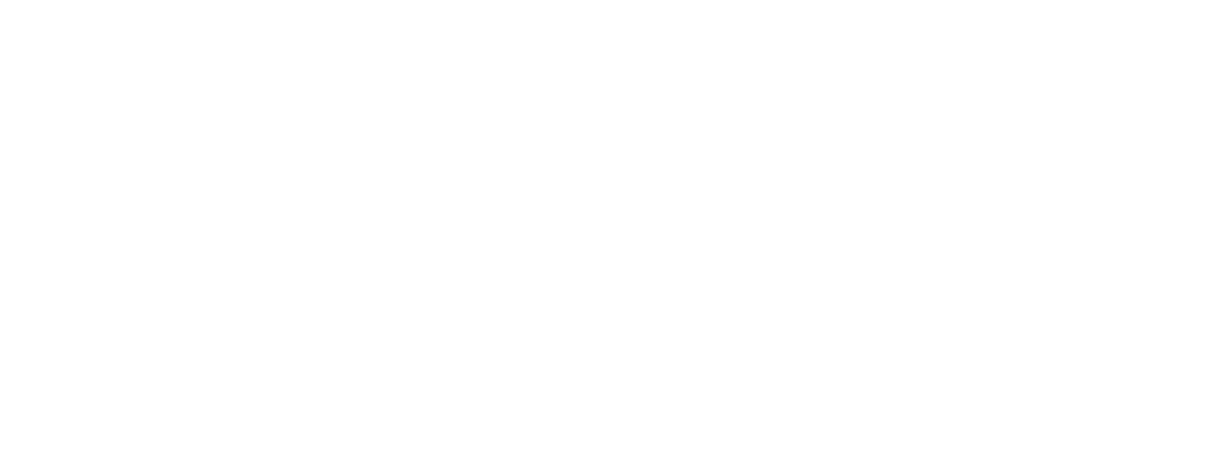 Logo blanc de l'Agence Brillantes, coaching en image à Vannes